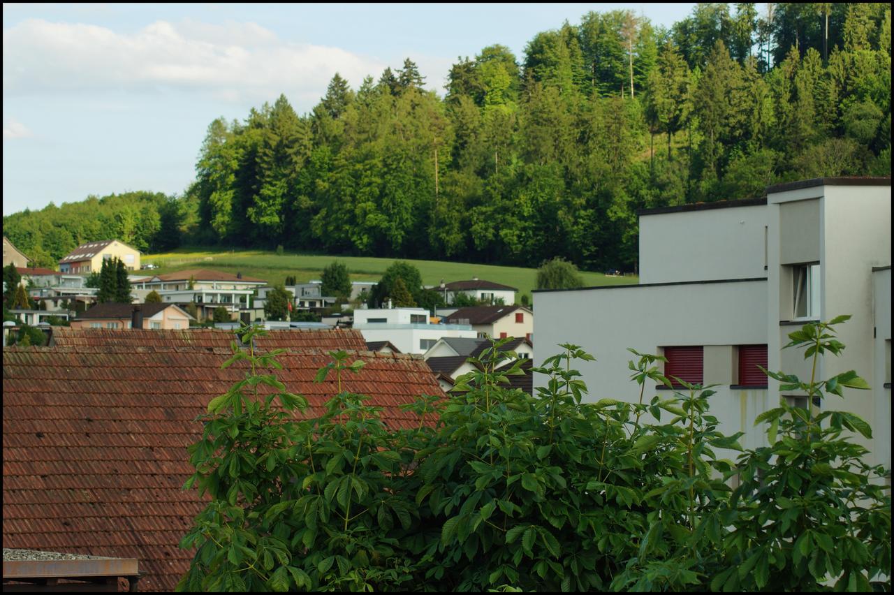 Gasthof Kastanienbaum Hotel Hunzenschwil Bagian luar foto